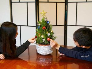 Lire la suite à propos de l’article Arbre de romarin pour Noël : comment entretenir un arbre de Noël au romarin