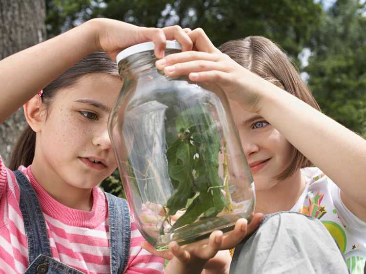 You are currently viewing Activités scientifiques amusantes pour les enfants : relier les cours de sciences au jardinage