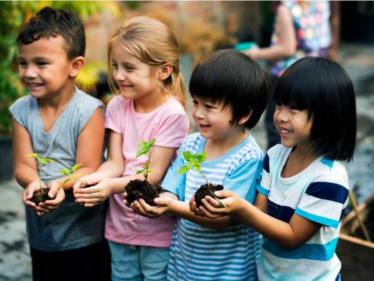 Lire la suite à propos de l’article Le guide des jardins pour les enfants : comment créer un jardin pour enfants fantaisiste