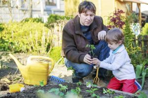 Lire la suite à propos de l’article Conseils de jardinage biologique pour les enfants – Enseigner aux enfants le jardinage biologique