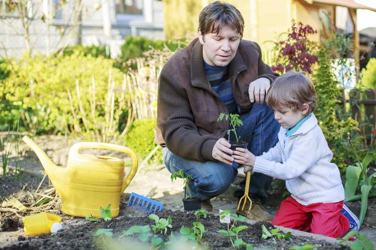You are currently viewing Conseils de jardinage biologique pour les enfants – Enseigner aux enfants le jardinage biologique