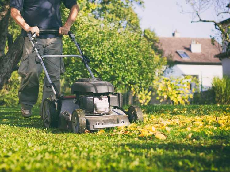 Lire la suite à propos de l’article Liste de contrôle pour l’entretien de la pelouse à la fin de l’été
