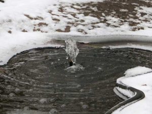 Lire la suite à propos de l’article Entretien hivernal des étangs : conseils pour hiverner les étangs de jardin