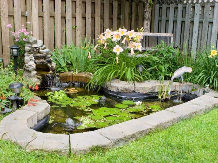 You are currently viewing Étangs miniatures – Comment construire un petit étang dans votre jardin