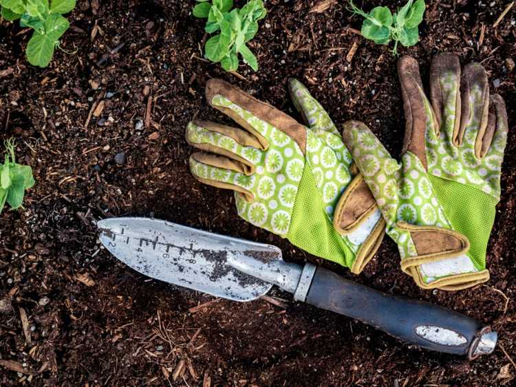 Lire la suite à propos de l’article Comment se protéger du tétanos dans le sol