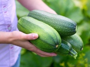 Lire la suite à propos de l’article Apprenez quoi faire avec trop de courgettes