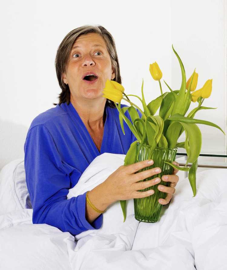 You are currently viewing Plantes à énergie curative – Avantages des plantes d’intérieur dans les hôpitaux
