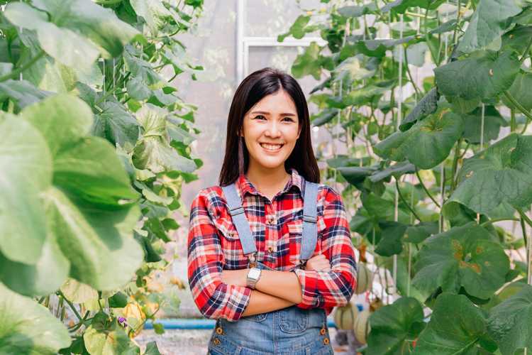 You are currently viewing Idées de jardinage soucieux de la planète : comment rendre votre jardin respectueux de l'environnement