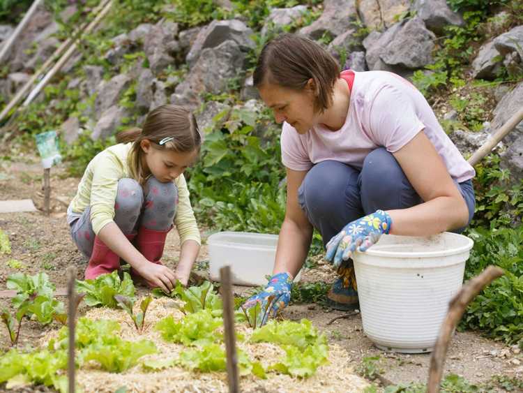 Lire la suite à propos de l’article Jardin de la Victoire des Enfants : idées et activités d'apprentissage pour les enfants