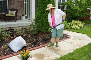 Lire la suite à propos de l’article Outils de jardinage adaptatifs : des outils qui facilitent le jardinage avec des limitations