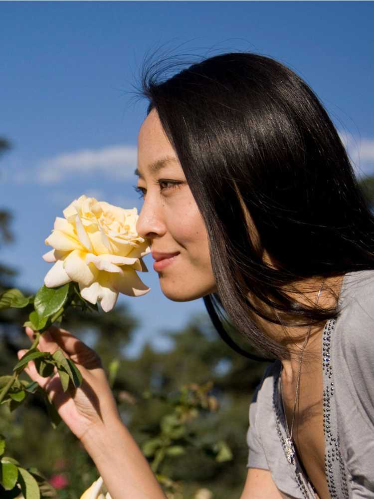 Lire la suite à propos de l’article Roses les plus odorantes : des roses parfumées pour votre jardin