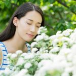 Plantes qui changent l’humeur : créer un plan de jardin parfumé