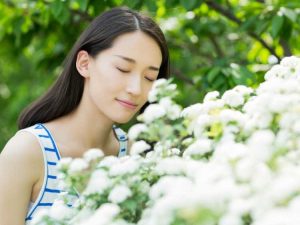 Lire la suite à propos de l’article Plantes qui changent l’humeur : créer un plan de jardin parfumé