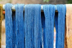 Lire la suite à propos de l’article Colorant à partir de plantes indigo : découvrez comment fabriquer du colorant indigo