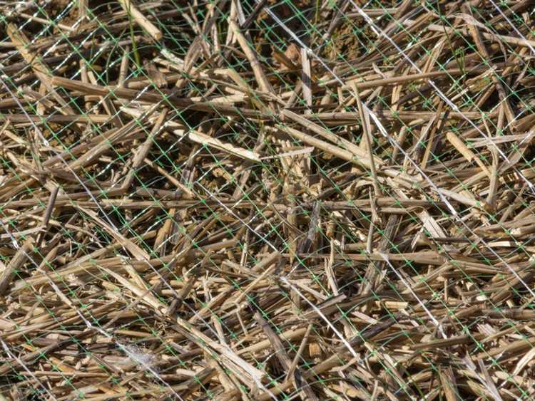 Lire la suite à propos de l’article Filet pour pelouses – Comment utiliser un filet paysager