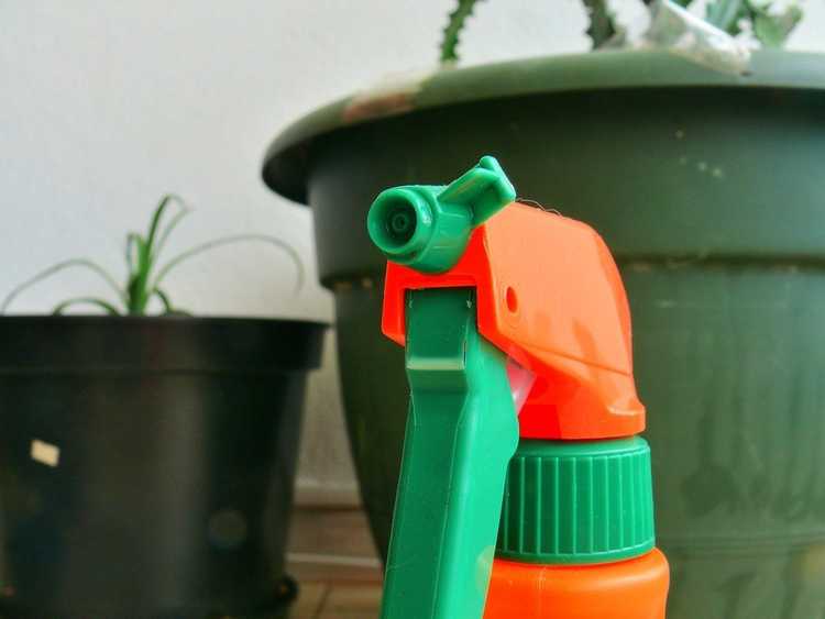 You are currently viewing Utilisation sûre des pesticides : utiliser les pesticides dans le jardin en toute sécurité