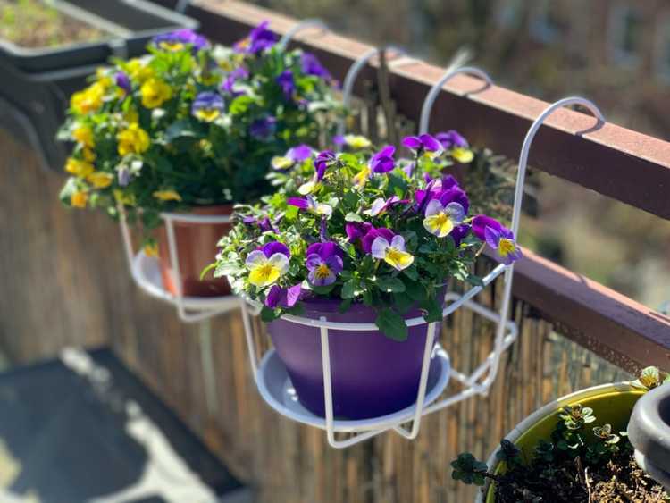 Lire la suite à propos de l’article Idées de jardinières de balcon – Conteneurs pour jardins de balcon