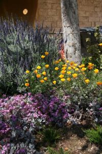 Lire la suite à propos de l’article Renouveler le jardin : transformations faciles pour votre maison et votre jardin