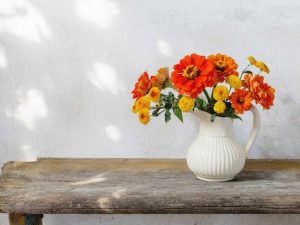 Lire la suite à propos de l’article Top 10 des fleurs coupées à cultiver – Planter un jardin de fleurs coupées