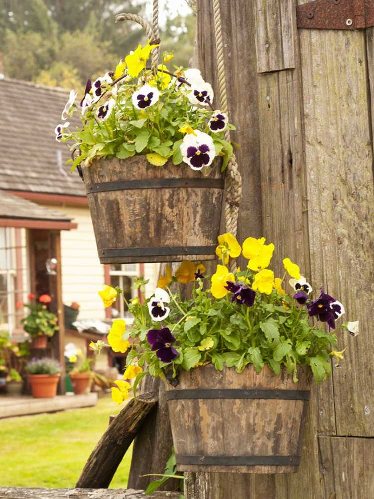 Lire la suite à propos de l’article Guide du jardinage en pot d’automne et d’hiver