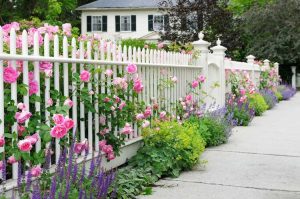 Lire la suite à propos de l’article Meilleur jardin de quartier : rendre votre jardin envieux du quartier