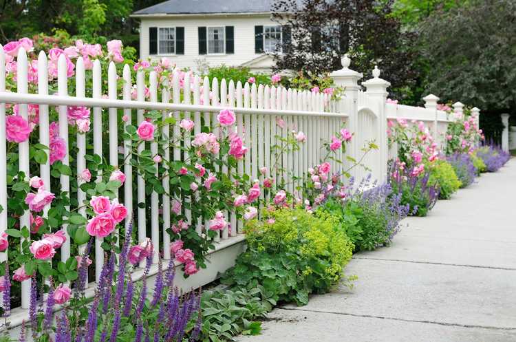 You are currently viewing Meilleur jardin de quartier : rendre votre jardin envieux du quartier