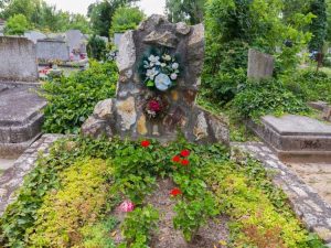 Lire la suite à propos de l’article Plantes pour tombes – Fleurs bonnes à planter sur une tombe