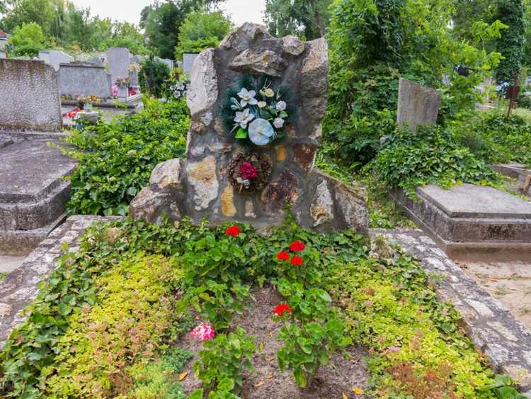 You are currently viewing Plantes pour tombes – Fleurs bonnes à planter sur une tombe