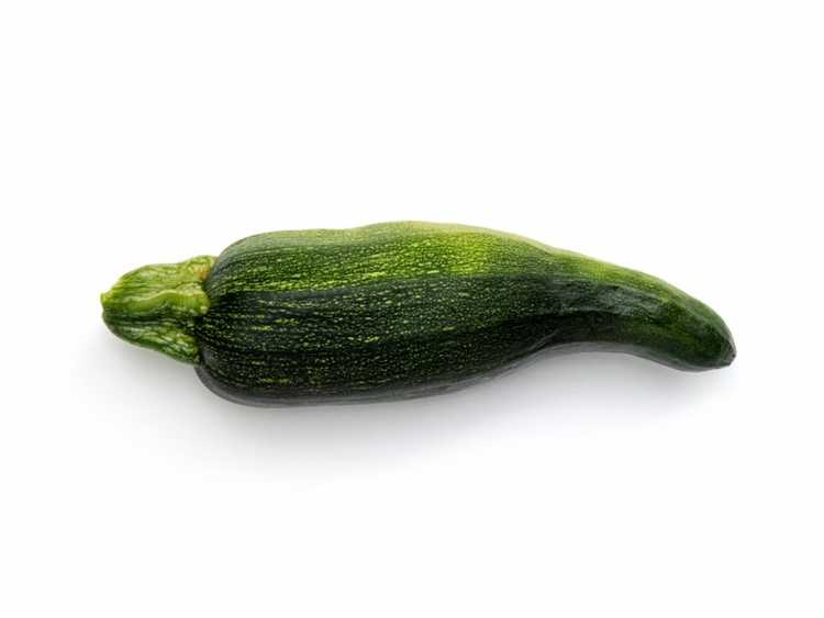 Lire la suite à propos de l’article Quelles sont les causes des courgettes et des courges déformées ?