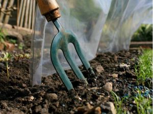 Lire la suite à propos de l’article 5 façons de prolonger la saison de croissance – Comment jardiner plus tard dans l’année