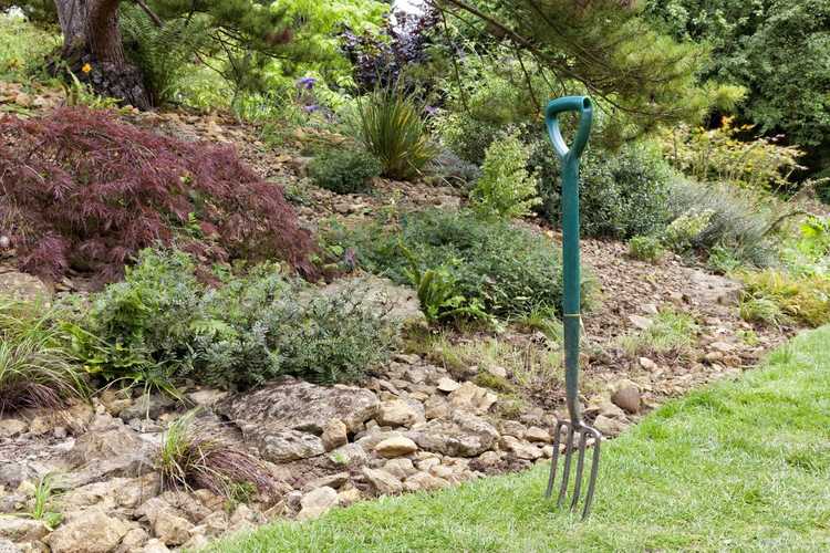 Lire la suite à propos de l’article Conseils sur l'utilisation d'une fourche de jardin – Apprenez quand utiliser une fourche de jardin