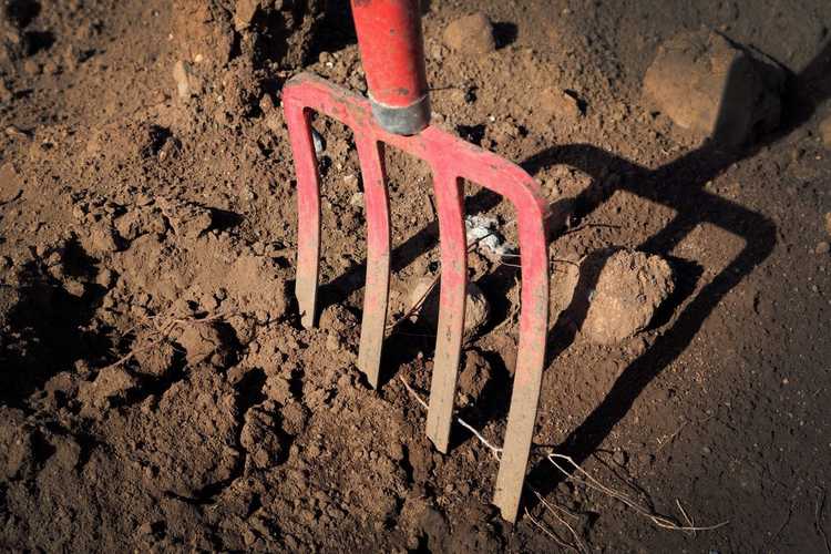 You are currently viewing Fonctions de la fourche à creuser : à quoi sert une fourche à creuser dans les jardins