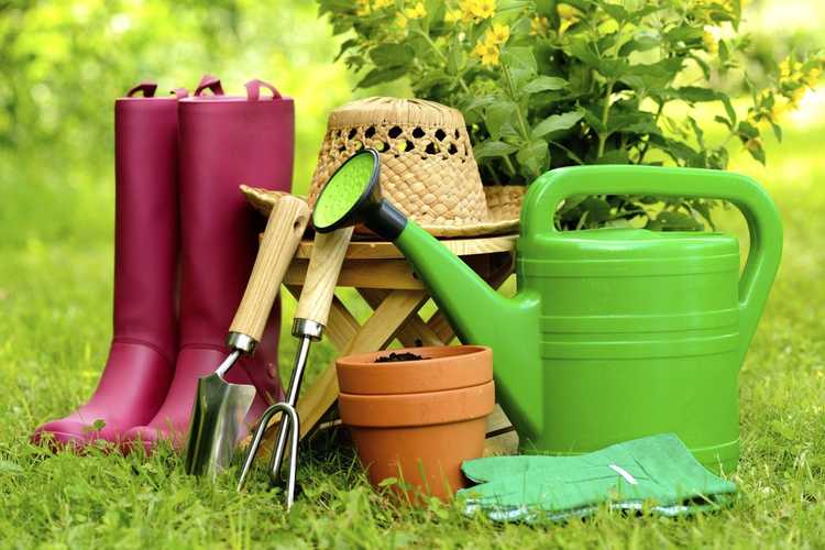 Lire la suite à propos de l’article Fournitures de jardinage urbain – Outils pour démarrer un jardin communautaire