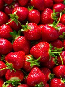 Lire la suite à propos de l’article Types de plants de fraises : découvrez les différents types de fraises