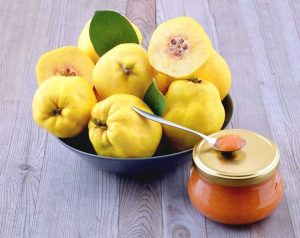 Lire la suite à propos de l’article Utilisations des fruits du coing : Que faire avec les fruits du coing