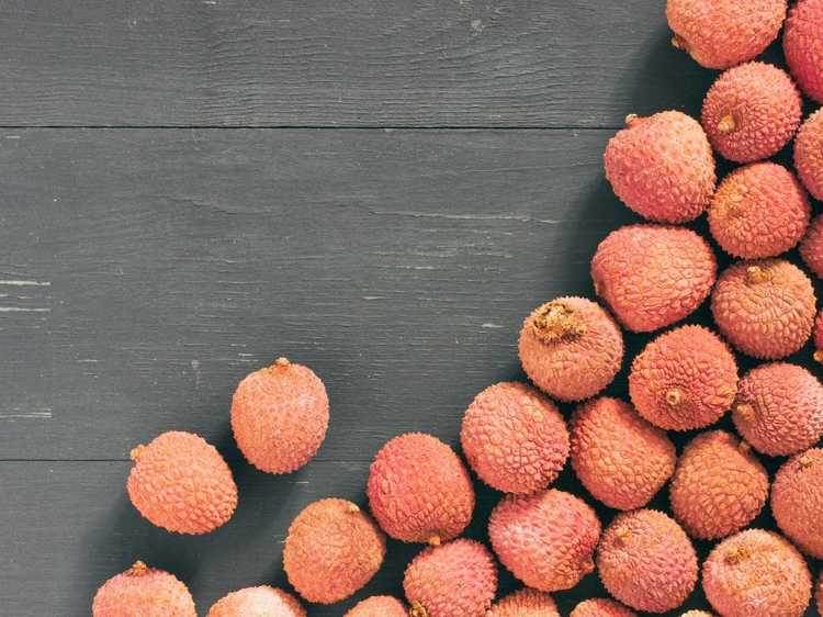 You are currently viewing Le litchi perd ses fruits : quelles sont les causes de la chute des fruits du litchi