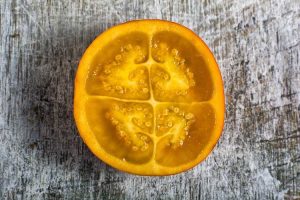 Lire la suite à propos de l’article Mon Naranjilla ne porte pas de fruits : pourquoi mon Naranjilla ne porte-t-elle pas de fruits