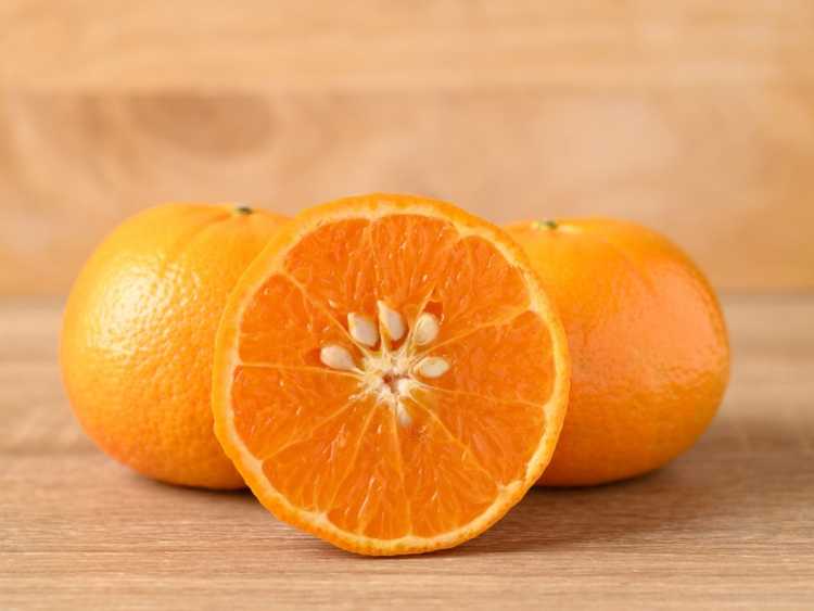 You are currently viewing Pouvez-vous cultiver des oranges achetées en magasin – Planter des graines d’orange en épicerie