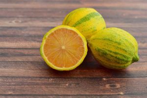 Lire la suite à propos de l’article Citronnier rose Eureka: Comment faire pousser des citronniers roses panachés