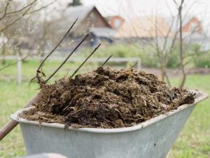 Lire la suite à propos de l’article Construire un foyer à fumier pour prolonger la saison de croissance