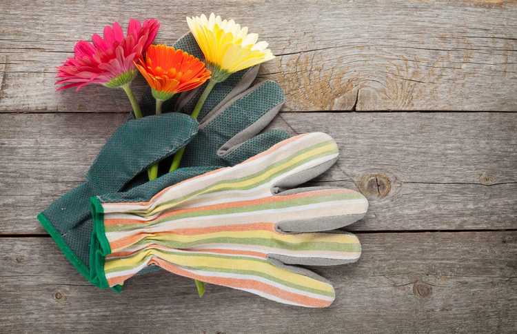 You are currently viewing Choisir des gants de jardinage : sélectionner les meilleurs gants pour le jardinage