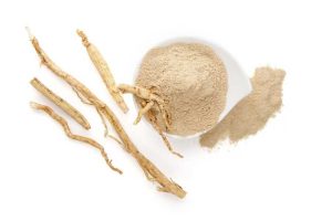 Lire la suite à propos de l’article Racine de ginseng séchée : apprenez à conserver les plants de ginseng