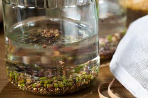 Lire la suite à propos de l’article Traitement des semences à l'eau chaude : dois-je traiter mes graines avec de l'eau chaude