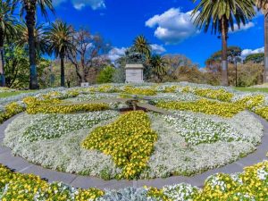 Lire la suite à propos de l’article Écrire avec des plantes à massif : conseils pour former des images ou des mots avec des plantes