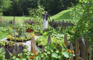 Lire la suite à propos de l’article Conception de potager : comment concevoir des potagers