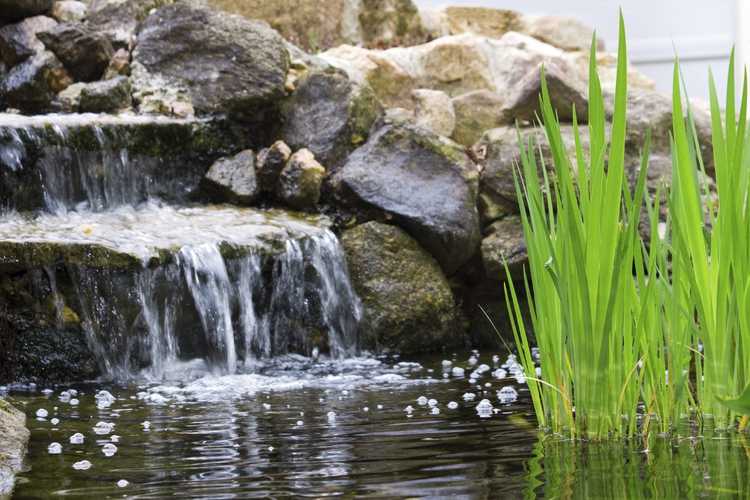 You are currently viewing Caractéristiques du jardin en cascade – Conseils pour créer des cascades d'étang