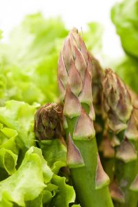 Lire la suite à propos de l’article Plantes compagnes d'asperges – Ce qui pousse bien avec les asperges