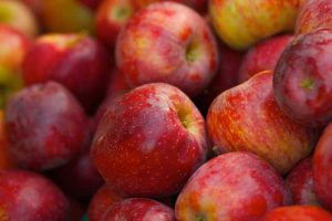 Lire la suite à propos de l’article Braeburn Apple Care – Conseils pour cultiver des pommes Braeburn à la maison