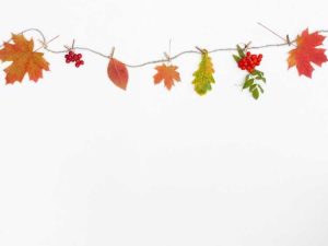 Lire la suite à propos de l’article Guirlande d'automne DIY : comment créer une chaîne de feuilles d'automne