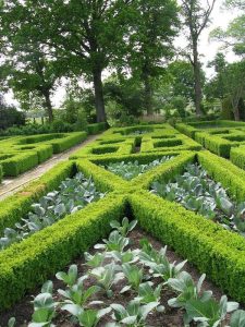 Lire la suite à propos de l’article Style de jardin formel : conseils pour créer une conception de jardin formel